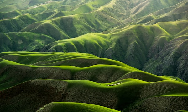 اجاره کلبه و ویلا در کلاردشت